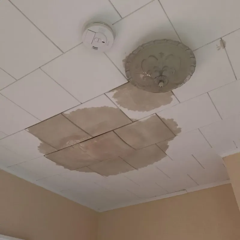 Ceiling Water Damage Repair in Holden, MO