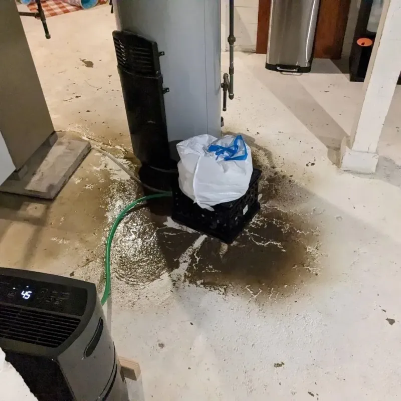Sewage Backup Cleanup Service in Holden, MO